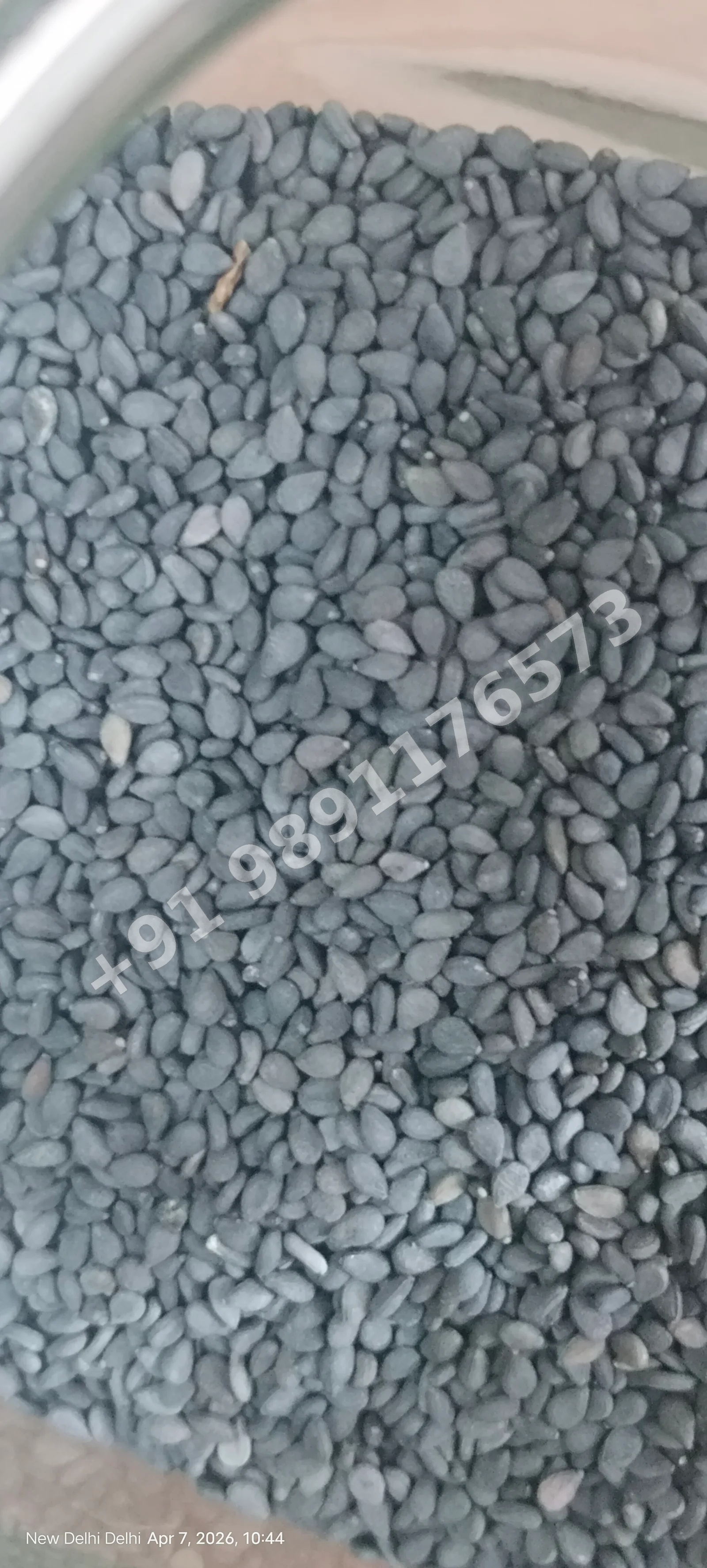 Black Sesame Seeds (Black Til)